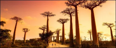 Quelle est la capitale de Madagascar ?