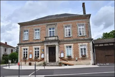 Village Marnais, dont le sud de son territoire est bord&eacute; par le lac du Der-Chantecoq, Larzicourt se situe en r&eacute;gion ...