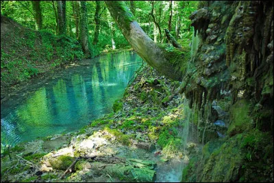 &Agrave; proximit&eacute; du canal entre Champagne et Bourgogne, je d&eacute;couvre la tufi&egrave;re de Rolampont, un milieu biologique vivant et actif depuis des mill&eacute;naires qui h&eacute;berge une flore et une faune remarquables. O&ugrave; suis-je ?