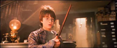 En quel mois de l'ann&eacute;e Harry est-il n&eacute; ?