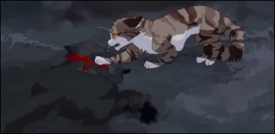 Et pour finir, comme est-elle morte ?