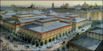 L'&eacute;volution est permanente peut-on dire sans risquer de se tromper. Quel projet remplace les anciennes Halles dans les ann&eacute;es 1970 ?