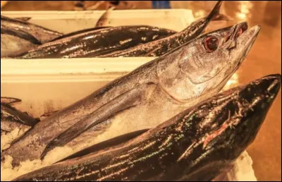 Depuis son ouverture ce mach&eacute; reste un acteur majeur de l&rsquo;approvisionnement alimentaire...