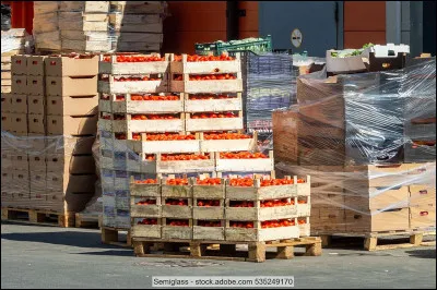 Comment fonctionne cet immense march&eacute; ?