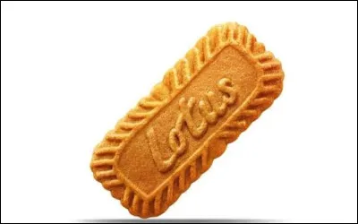 Quel biscuit est traditionnellement associ&eacute; &agrave; la Belgique gr&acirc;ce &agrave; son go&ucirc;t caram&eacute;lis&eacute; et &eacute;pic&eacute; ?