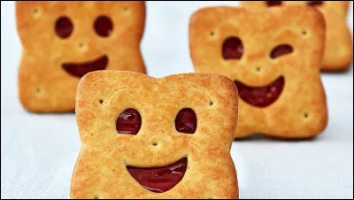 Quel biscuit est c&eacute;l&egrave;bre pour ses deux yeux, son sourire et son fourrage au chocolat ?