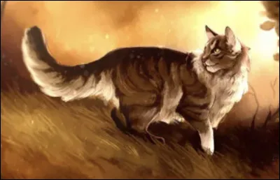 Quel est le pr&eacute;fixe du nom de guerrier du chef du clan du Tonnerre dans le cycle 6,7 (67 ! ! ! 😅) et encore apr&egrave;s ?