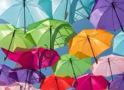 Quiz Les couleurs en anglais