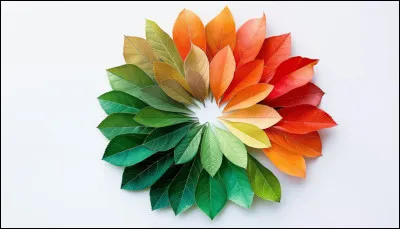Quels tons de couleur pr&eacute;f&egrave;res-tu ?