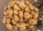 Quiz Les pommes de terre en culture générale
