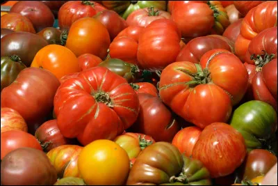 Pourquoi la justice am&eacute;ricaine a-t-elle class&eacute; la tomate comme un l&eacute;gume en 1893 ?