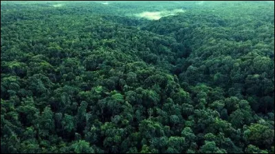 Quel roman de Pierre Boulle imagine un monde o&ugrave; les singes dominent les &ecirc;tres humains ?