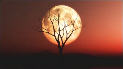 La pleine lune du 29 juillet 2026 est une super lune.