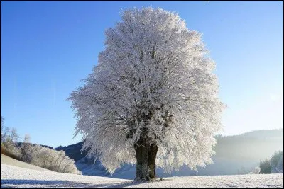Solstice : &agrave; quelle date se produit le solstice d'hiver (dans l'h&eacute;misph&egrave;re nord) ?