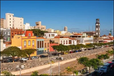 Quel c&eacute;l&egrave;bre corsaire anglais attaque Santa Cruz de Tenerife en 1797 et y perd son bras droit ?