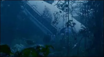 Quel est le num&eacute;ro du vol Oceanic qui s'est &eacute;cras&eacute; sur l'&icirc;le avec ses passagers dans la s&eacute;rie "Lost" ?
