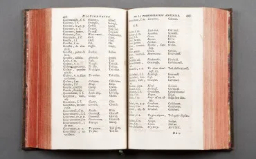 Quiz Vocabulaire