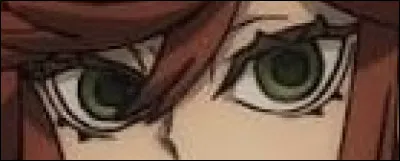 &Agrave; qui appartiennent ces yeux ?