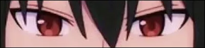 &Agrave; qui appartiennent ces yeux ?