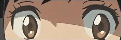 &Agrave; qui appartiennent ces yeux ?