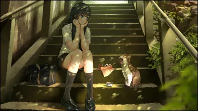 Derni&egrave;re question : Quel genre d'anim&eacute; regardes-tu en ce moment ?