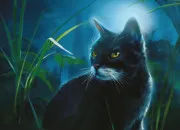 Quiz LGDC - Connais-tu bien Violette Brillante ?