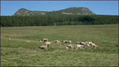 Lequel de ces monts, haut de 1 753 m&egrave;tres, donne son nom &agrave; une appellation d'origine contr&ocirc;l&eacute;e (AOC) bovine ?