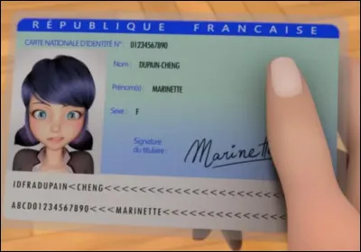 Quelle est la couleur du stylo cach&eacute; entre les pages du roman de Marinette, pos&eacute; sur son bureau, dans sa chambre ?