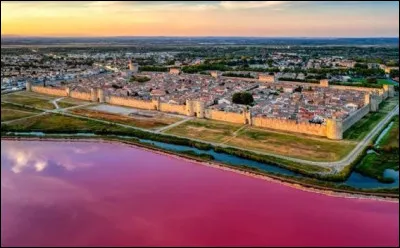 Laquelle de ces propositions d&eacute;signe une commune du d&eacute;partement, drain&eacute;e par la Vidourle, situ&eacute;e en Camargue et connue notamment pour ses salins et le massacre des Italiens de 1893 ?