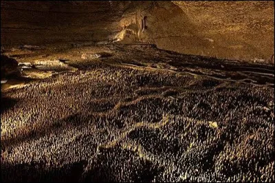 Comment est surnomm&eacute;e la grotte de Trabuc, situ&eacute;e dans le nord du d&eacute;partement, sur la commune de Mialet ?