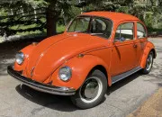 Quiz Coccinelle et Bus VW