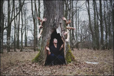 Tu te retrouves seul(e) dans la for&ecirc;t, que fais-tu ?