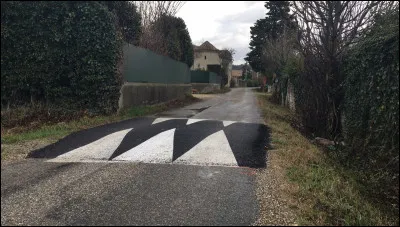 Laquelle n'est PAS une appellation du ''dos d'&acirc;ne'' ?