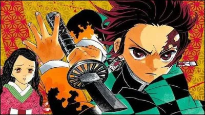 Est-ce une image du manga ou de l'anim&eacute; ?