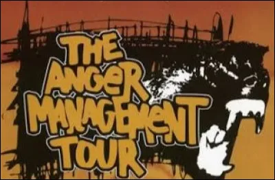 En 2005, apr&egrave;s sa tourn&eacute;e harassante aux &Eacute;tats-Unis avec "Anger Management Tour", quel rappeur am&eacute;ricain annule sa tourn&eacute;e europ&eacute;enne ?