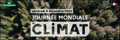 Le 10 octobre de chaque ann&eacute;e a lieu...