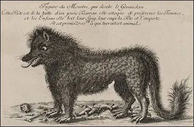Comment s'appelle cette ancienne province, situ&eacute;e en Loz&egrave;re, et connue pour avoir abrit&eacute; une b&ecirc;te f&eacute;roce ayant commis des attaques contre des humains en France entre le 30 juin 1764 et le 19 juin 1767 ?