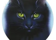 Quiz Mes chats préférés dans LGDC