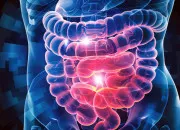 Quiz Épidémiologie - Les douleurs les plus intenses et les maladies les plus insupportables