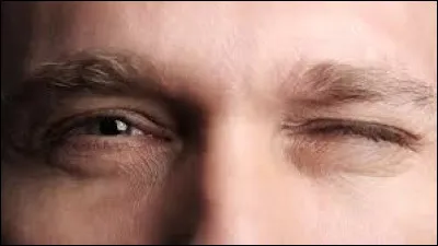 Quel r&eacute;flexe fait fermer automatiquement les yeux lorsqu'un objet s'approche tr&egrave;s vite du visage ?