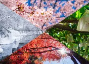 Quiz Langues étrangères - Les saisons en anglais et en espagnol
