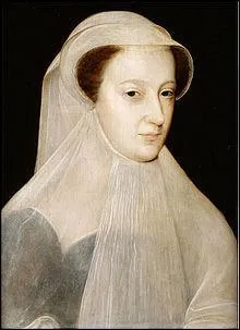 Sous le rgne d'Henri III qu'appelait-on les reines blanches ?