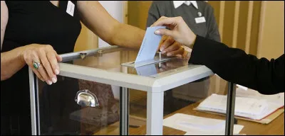 Quel pouvoir permet au pr&eacute;sident de consulter directement les Fran&ccedil;ais sur un projet important ?