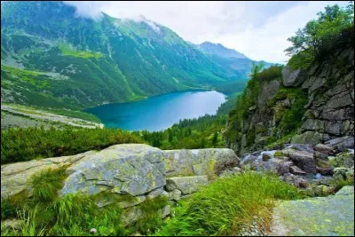 Quel fleuve traverse la plus grande zone de mar&eacute;es du monde, cr&eacute;ant des vagues qui remontent le courant ?