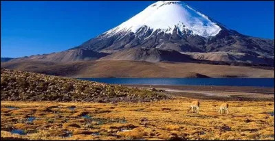 Le plus haut volcan du monde est le Nevado Ojos del Salado, qui culmine &agrave; 6 893 m&egrave;tres d'altitude. Situ&eacute; dans la cordill&egrave;re des Andes, entre quels pays marque-t-il la fronti&egrave;re ?