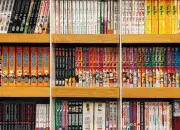 Quiz Retrouve le personnage de manga grâce à deux mots