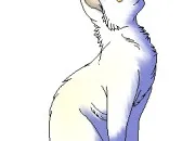 Quiz LGDC - Connais-tu bien Baie de Neige ?