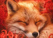 Quiz Le renard roux