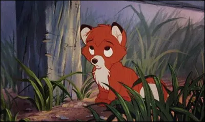 Comment appelle-t-on le petit du renard ?