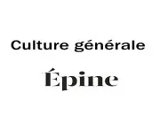 Quiz Épine